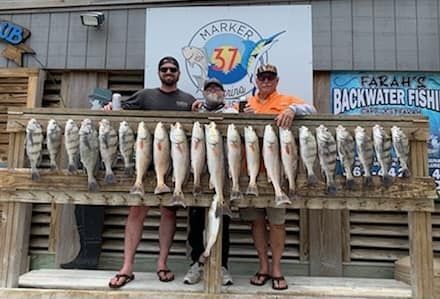 Red drum fishing